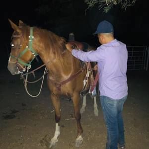 Meet your Posher, David